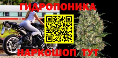 трава Донецк
